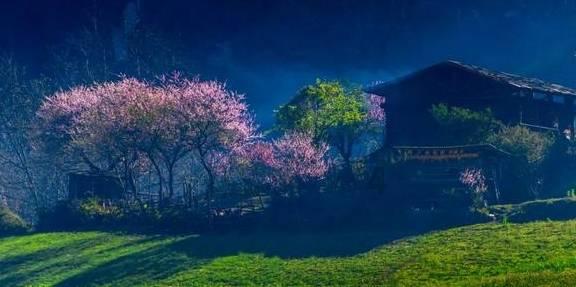 孤岛危机2